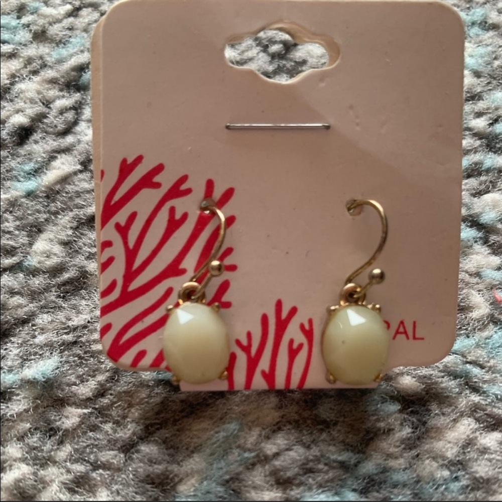 NWT Earrings